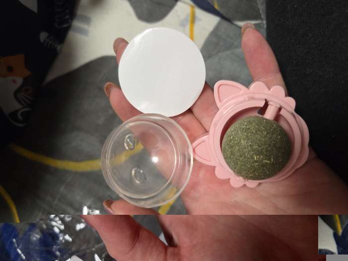 Фотография покупателя товара Игрушка для кошек из кошачьей мяты «Киса», 4.5×6×6 см, на основании, цвет МИКС - Фото 3