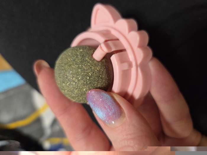 Фотография покупателя товара Игрушка для кошек из кошачьей мяты «Киса», 4.5×6×6 см, на основании, цвет МИКС - Фото 1