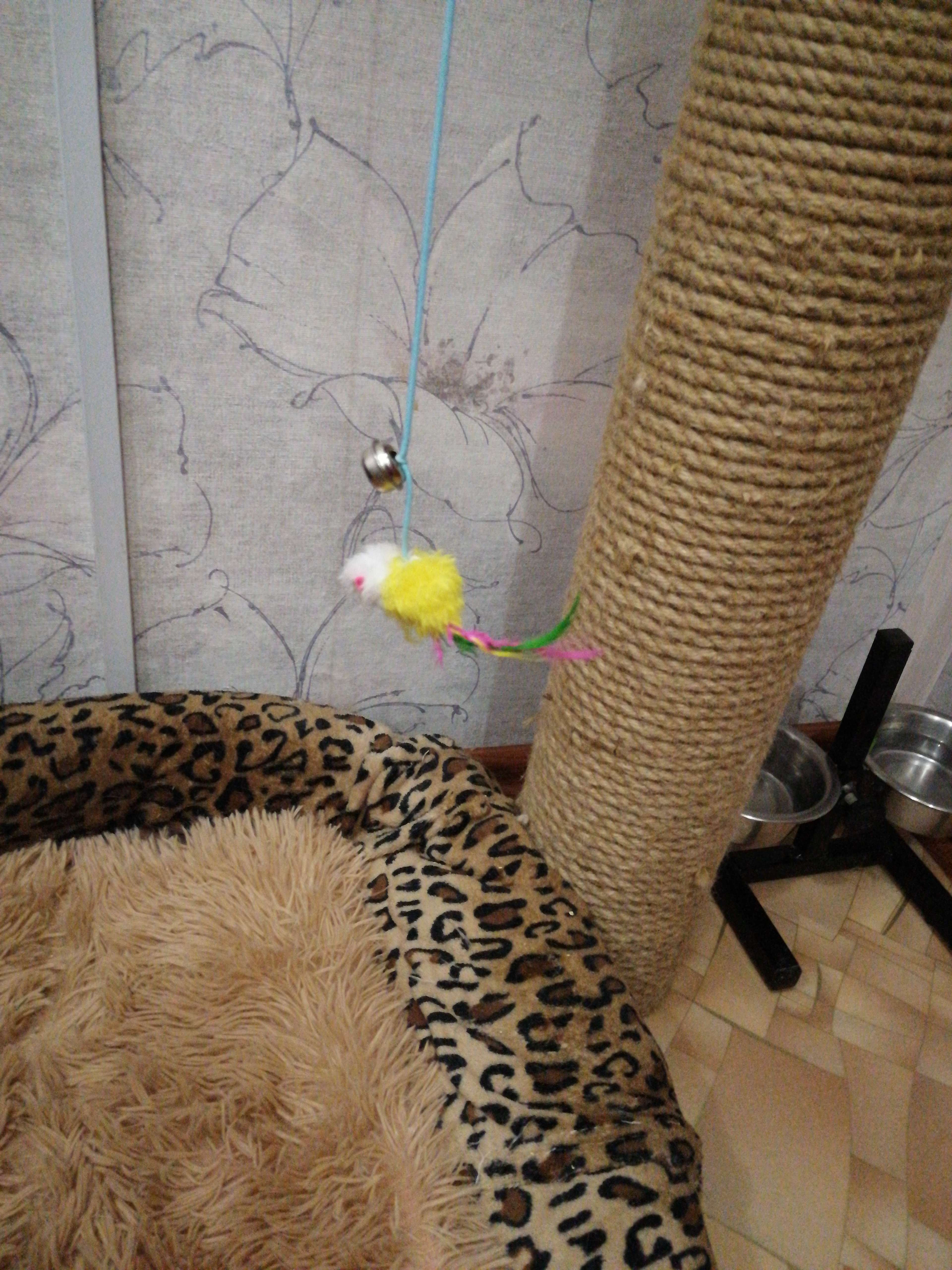 Фотография покупателя товара Дразнилка-удочка "Цветная мышка", 32 см, микс цветов - Фото 7