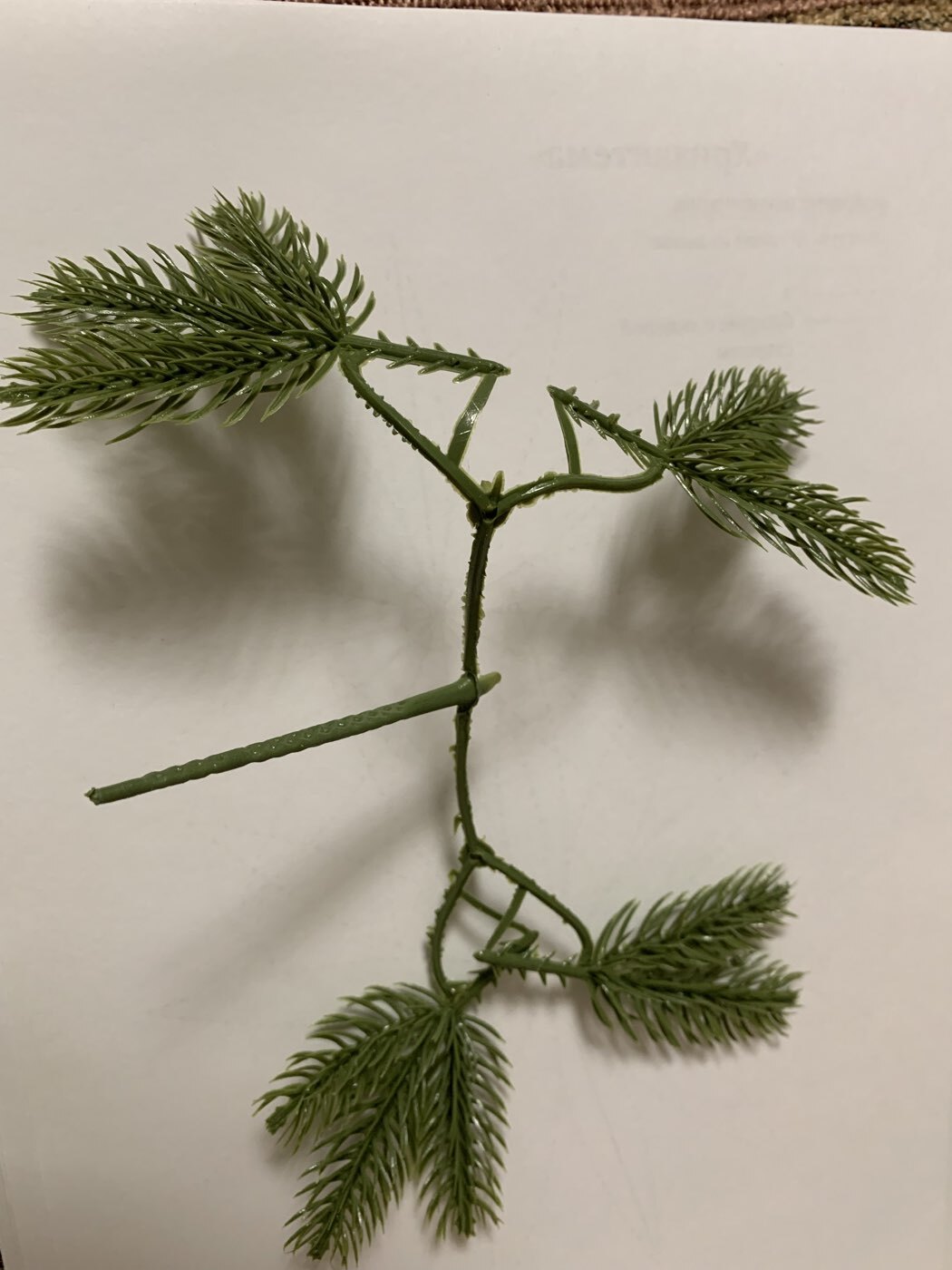 Фотография покупателя товара Ветка декоративная новогодняя, набор 10 шт., размер 1 шт. — 23×7×2 см - Фото 5