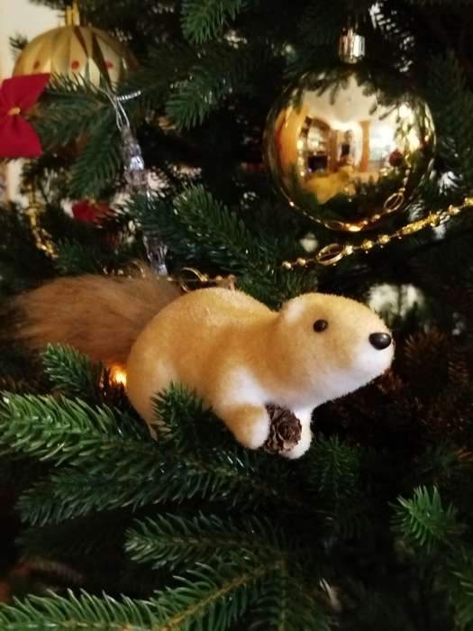 Фотография покупателя товара Ёлочная игрушка «Белка с шишкой» 4.5×20 см, бежевый - Фото 1