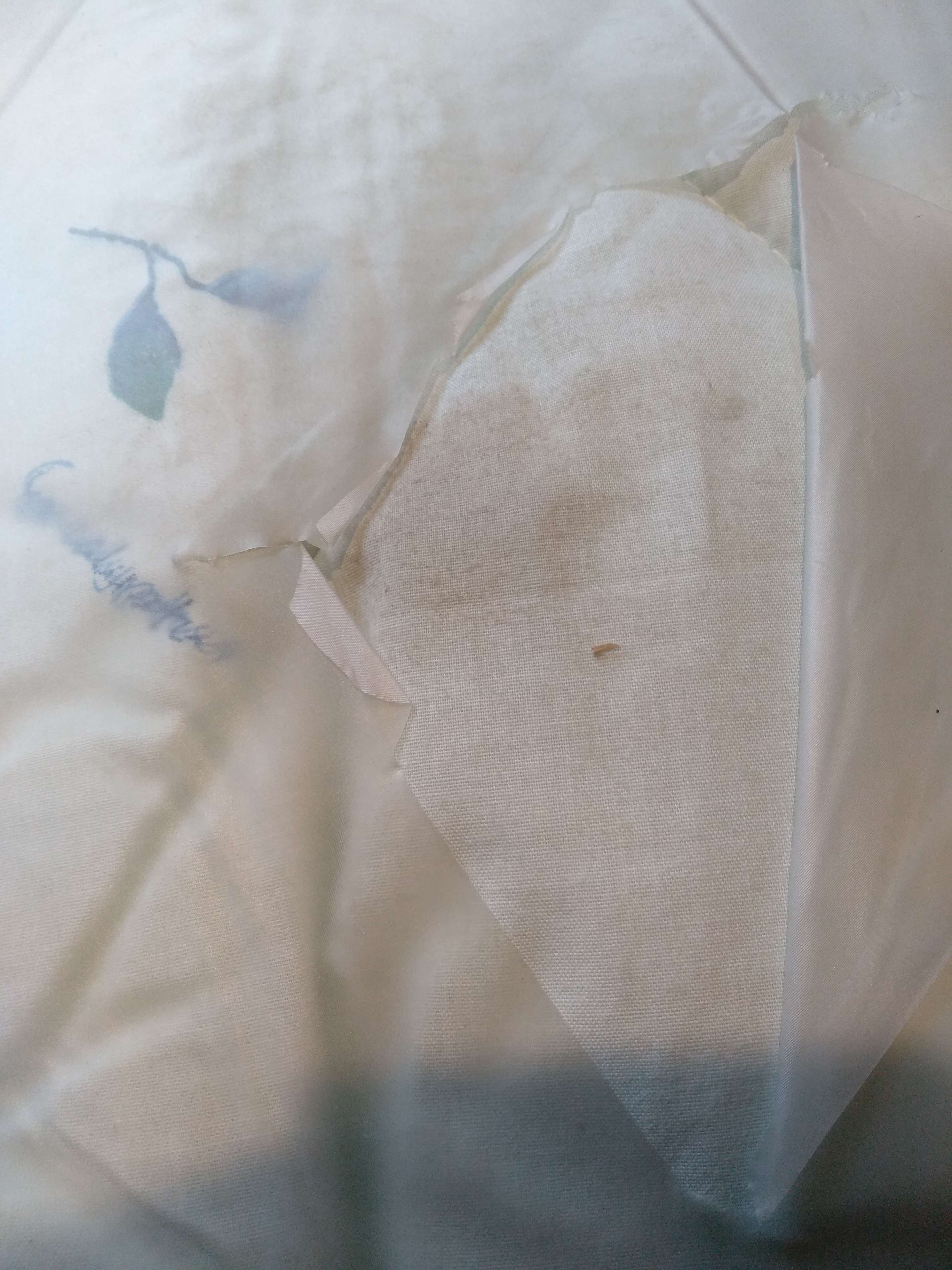 Фотография покупателя товара Одеяло "Эвкалипт" 140х205 300г/м2 50%хлопок,50%п/э волокно Eucalyptus 35% fiber by Sortex - Фото 1