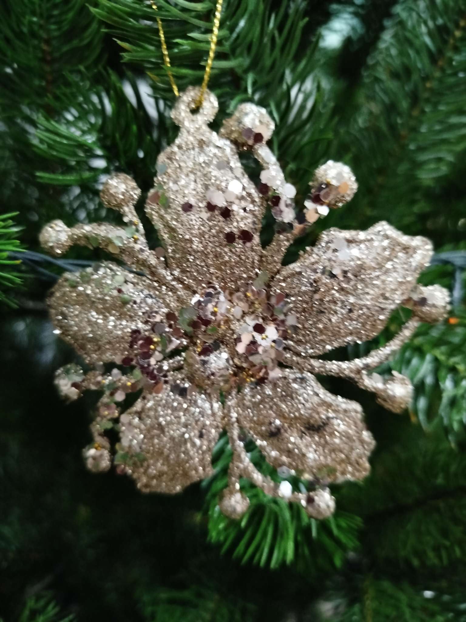 Фотография покупателя товара Ёлочные игрушки 3 шт. «Зимнее волшебство. Сияющая глазурь» пластик, 9.5×9.5 см, золото - Фото 3