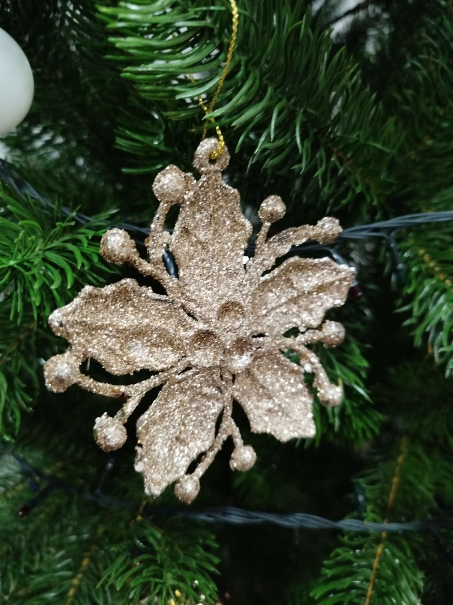 Фотография покупателя товара Ёлочные игрушки 3 шт. «Зимнее волшебство. Сияющая глазурь» пластик, 9.5×9.5 см, золото - Фото 4