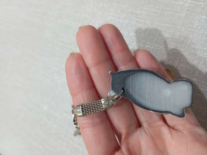 Фотография покупателя товара Брелок для ключей на кольце «Филин (барельеф)», 4.2 см - Фото 2