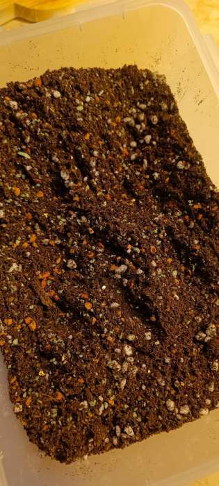 Фотография покупателя товара Смесь Вермикулит и Перлит «Рецепты Дедушки Никиты» 1 л. - Фото 1