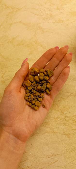 Фотография покупателя товара Дренаж Керамзит «Рецепты Дедушки Никиты» фр 5-10, 3 л - Фото 1