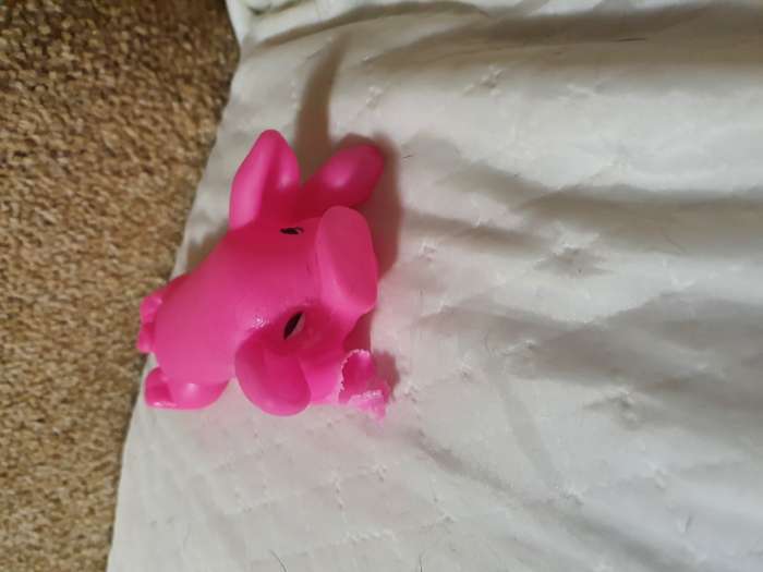 Фотография покупателя товара Игрушка пищащая "Буженина" для собак, 13 см, розовая