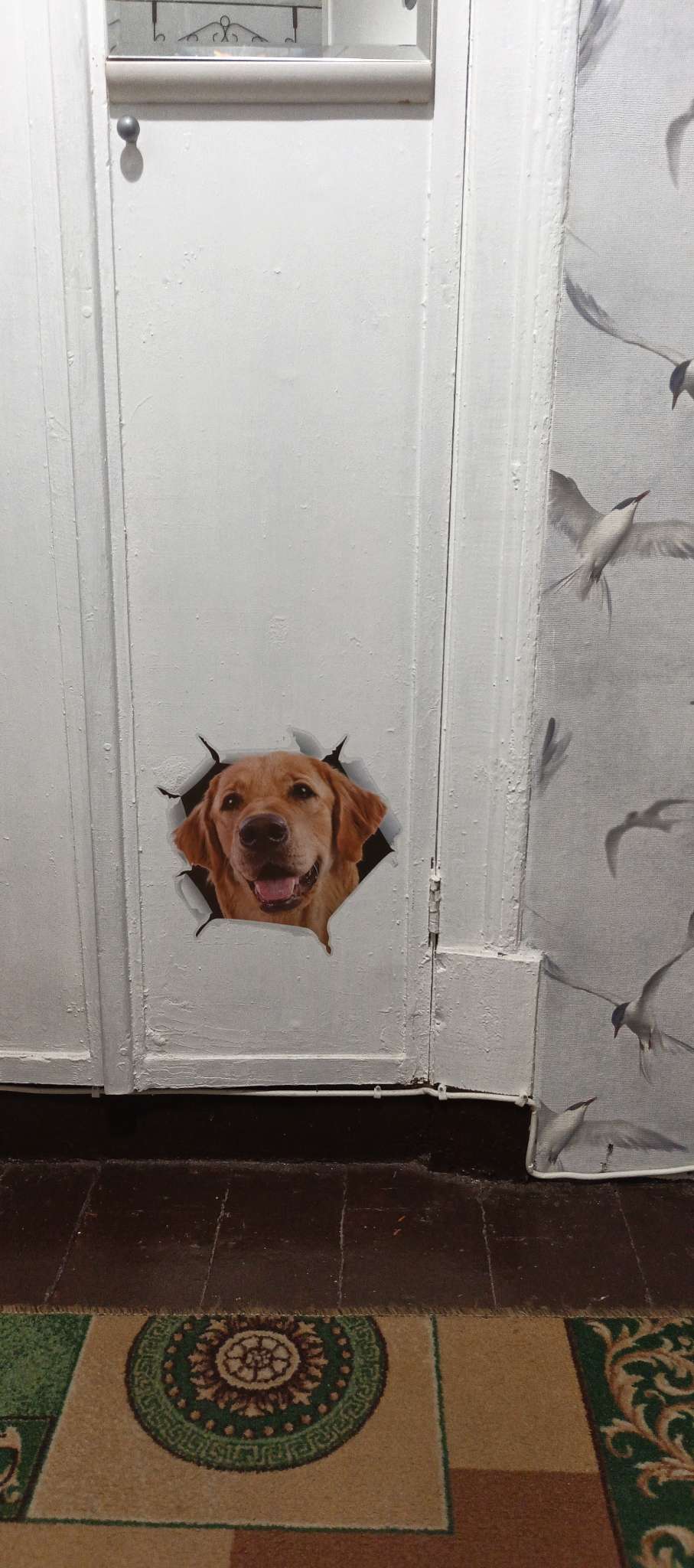 Фотография покупателя товара Интерьерная наклейка 3Д TAKE IT EASY «Ганеша», 87×57 см - Фото 2