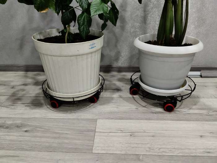 Фотография покупателя товара Подставка для цветов на колёсиках Доляна, 34×34×10 см, цвет чёрный - Фото 4