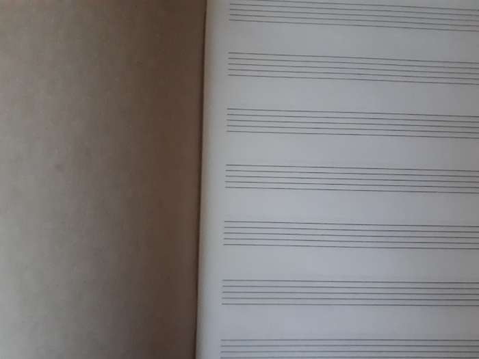 Фотография покупателя товара Тетрадь для нот А4, 16 листов, вертикальная BRAUBERG "Город звуков", МИКС