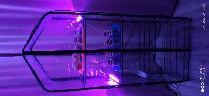Фотография покупателя товара Фитосветильник светодиодный Luazon, 6 Вт, 300 мм, IP20, 220 В, мультиспектральный - Фото 3