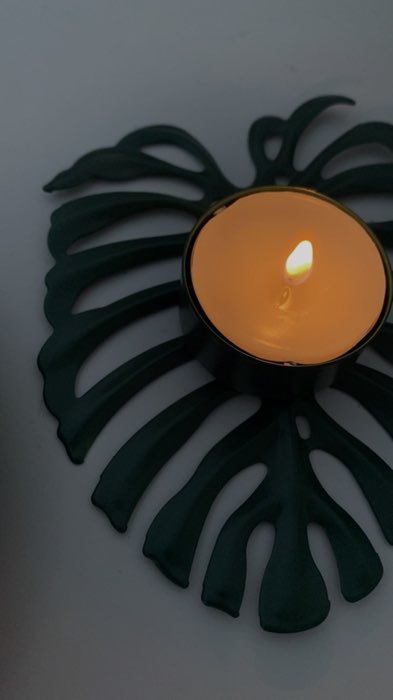 Фотография покупателя товара Подсвечник металл на 1 свечу "Лист монстеры" свеча d=4 см зелёный 2х10х12,3 см