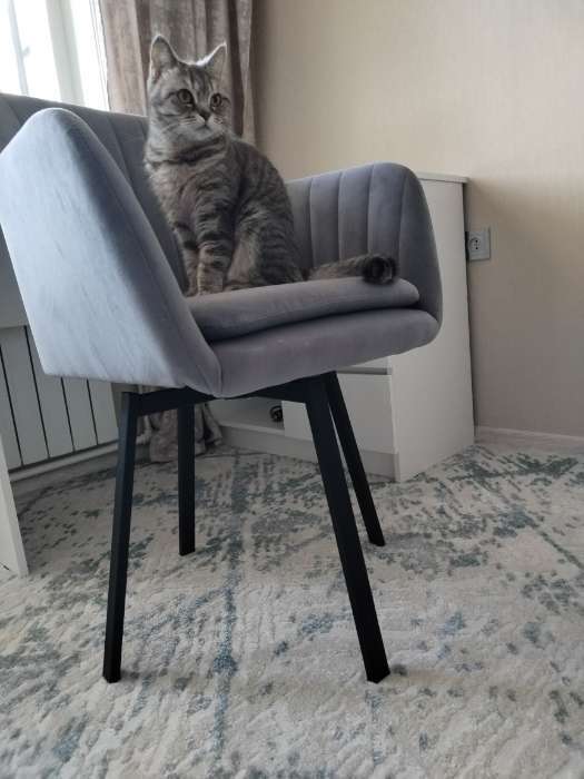 Фотография покупателя товара Стул «Тревис» XL, сиденье «Парма 1014», ножки поворотные «РИЛЛИ», цвет асфальт/чёрный матовый - Фото 1