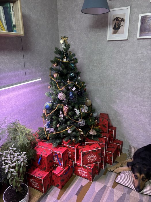 Фотография покупателя товара Пакет - коробка, 23×18×11 см - Фото 34