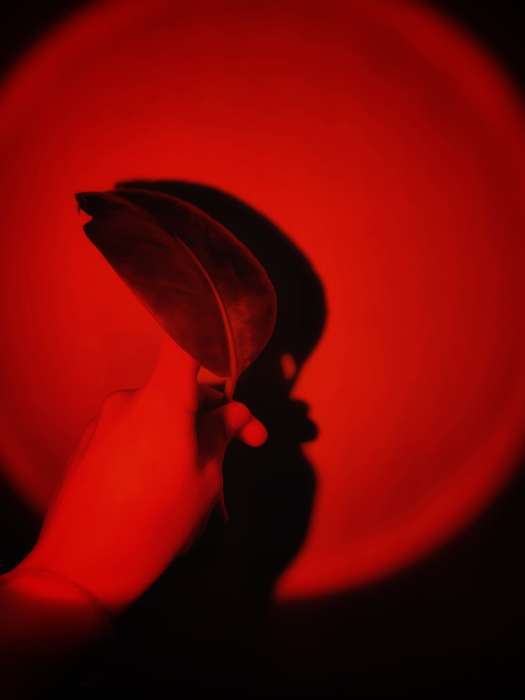 Фотография покупателя товара Световой прибор «Закат» на ножке, 5 картриджей, свечение тёплое белое, 5 В - Фото 6