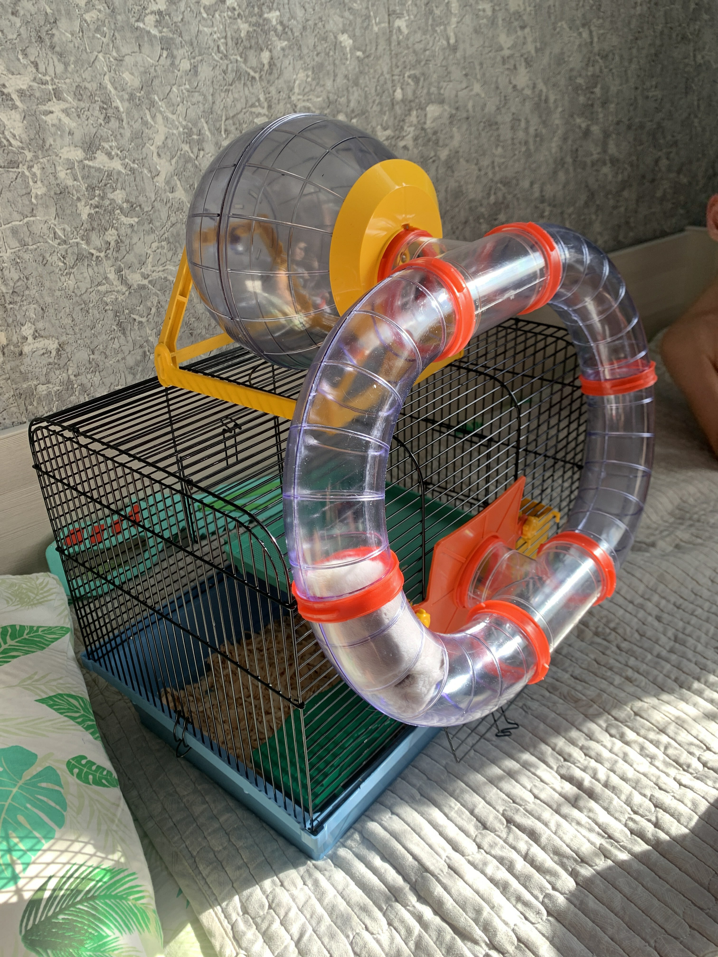 Фотография покупателя товара Клетка для грызунов двухъярусная с лабиринтом и колесом, 39 x 29 х 33 см, микс цветов - Фото 2