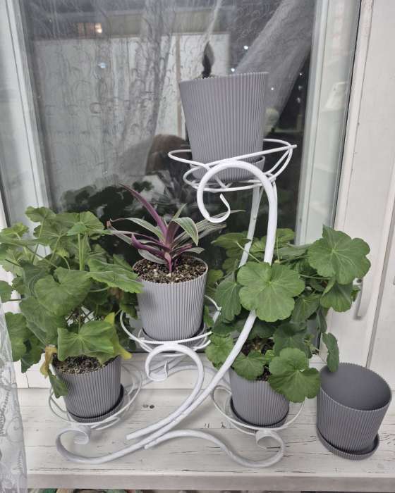 Фотография покупателя товара Горшок для цветов с поддоном, 12×11.5 см, пластиковый, серый - Фото 1