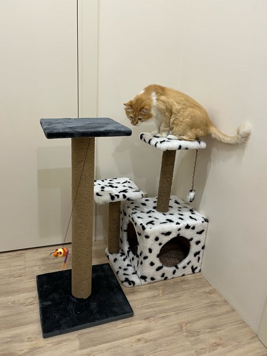 Фотография покупателя товара Домик для кошек с когтеточкой, квадратный, 3х-этажный, 45 × 47 × 75 см, серая - Фото 1