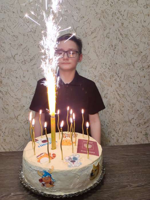Фотография покупателя товара Свечи фонтаны для торта "Золотые искры", 12,5 см, 40 секунд, 4 шт - Фото 29
