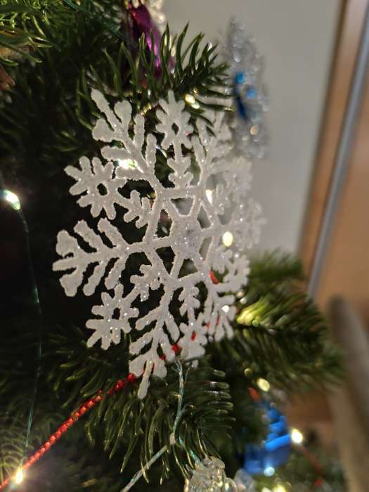 Фотография покупателя товара Ёлочные игрушки набор 6 шт. «Зимнее волшебство. Снежинка узорная», d=7 см, белый - Фото 3