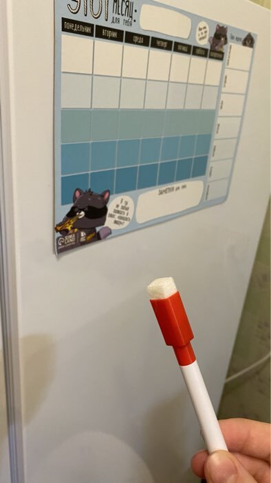 Фотография покупателя товара Планер на магните «Верь в мечту», + стирающийся маркер - Фото 11