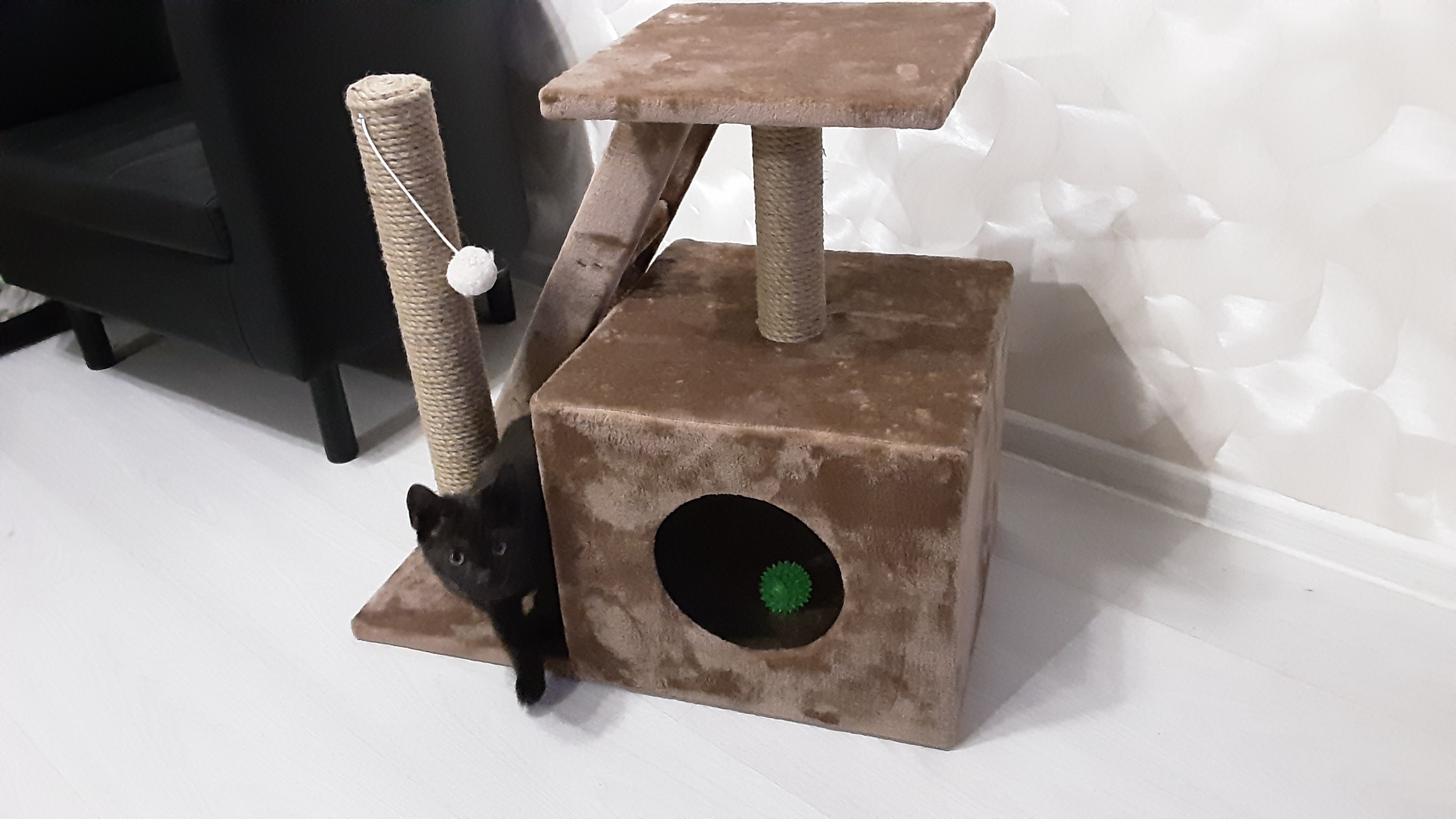 Фотография покупателя товара Домик для кошек с когтеточкой "Домосед", с лестницей и площадкой, 60 х 35 х 56 см, микс - Фото 1
