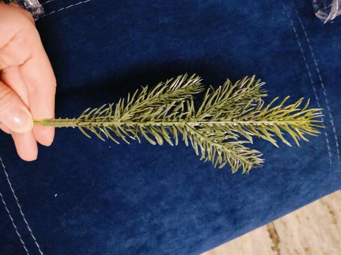 Фотография покупателя товара Ветка декоративная новогодняя, набор 10 шт., размер 1 шт. — 23×7×2 см - Фото 2