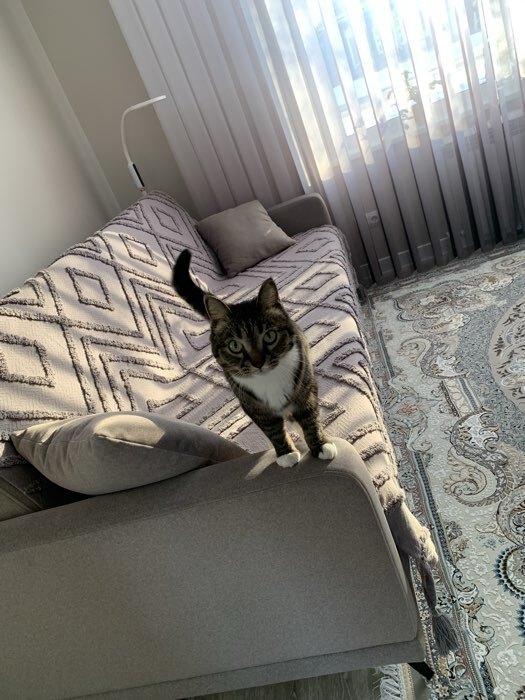 Фотография покупателя товара Плед с кисточками SL Home, 150×200 см, серый, 450 г/м² - Фото 2