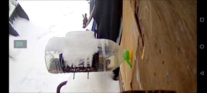 Фотография покупателя товара Овес «Перрико» для птиц и грызунов, 200 г - Фото 4