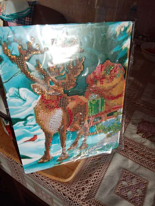 Фотография покупателя товара Алмазная мозаика с частичным заполнением «Олень с подарками» 20х25 см - Фото 1