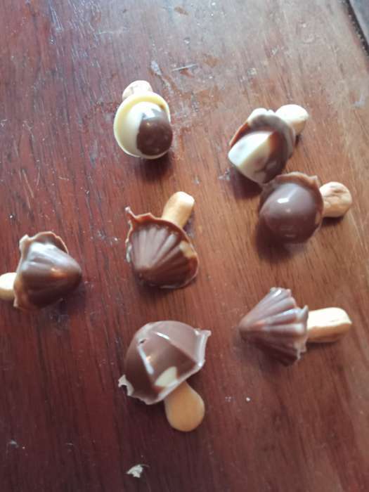 Фотография покупателя товара Кондитерский конструктор "Мам, я справлюсь!", шоколадные грибочки, 40 г