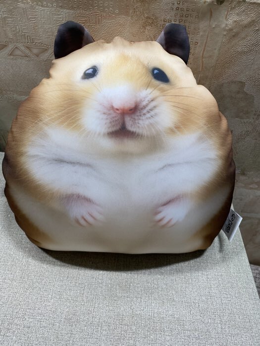 Фотография покупателя товара Игрушка антистресс «Хомяк» - Фото 1