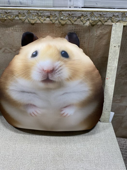 Фотография покупателя товара Игрушка антистресс «Хомяк» - Фото 3