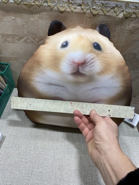 Фотография покупателя товара Игрушка антистресс «Хомяк» - Фото 4