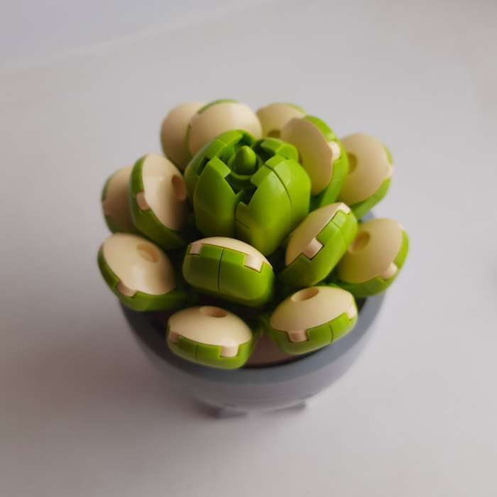 Фотография покупателя товара УЦЕНКА Конструктор «Цветы в горшочке», 6 видов, МИКС - Фото 4