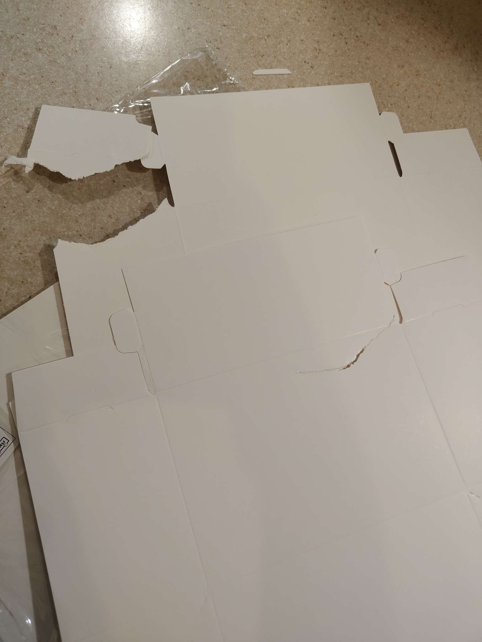 Фотография покупателя товара Контейнер навынос, с окном, белый, 20×20×4 см - Фото 52