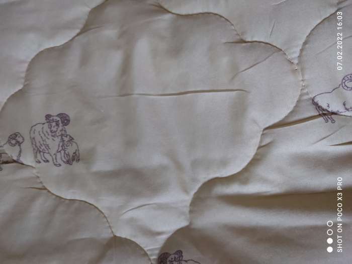 Фотография покупателя товара Одеяло облегчённое Адамас "Овечья шерсть", размер 200х220 ± 5 см, 200гр/м2, чехол п/э - Фото 2