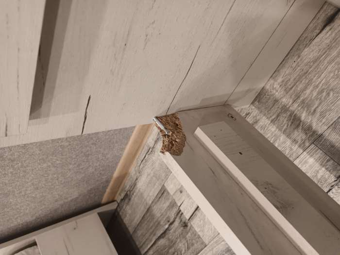 Фотография покупателя товара Кровать односпальная парящая «Клик Мебель. Зара», 800×2000 мм, цвет крафт белый - Фото 12