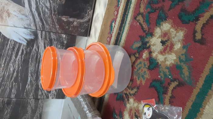 Фотография покупателя товара Набор контейнеров пищевых круглых Доляна, 3 шт: 150 мл, 300 мл, 500 мл, цвет оранжевый - Фото 1