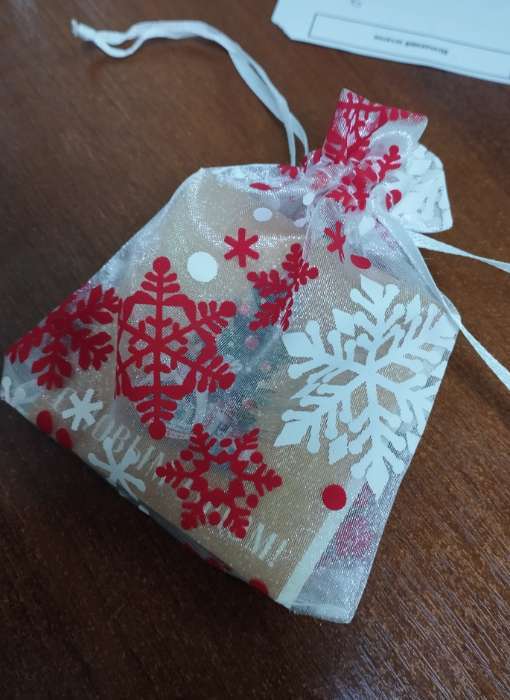 Фотография покупателя товара Мешочек подарочный новогодний органза «Снежная история», 10×12 см ± 1.5 см - Фото 1