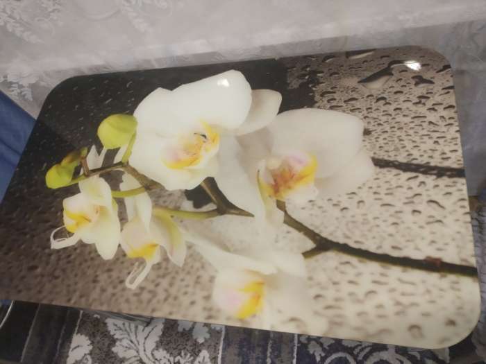 Фотография покупателя товара Стол прямоуголный с фп Орхидея белая, 1000х600х777, стекло/подстолье чайка - Фото 2