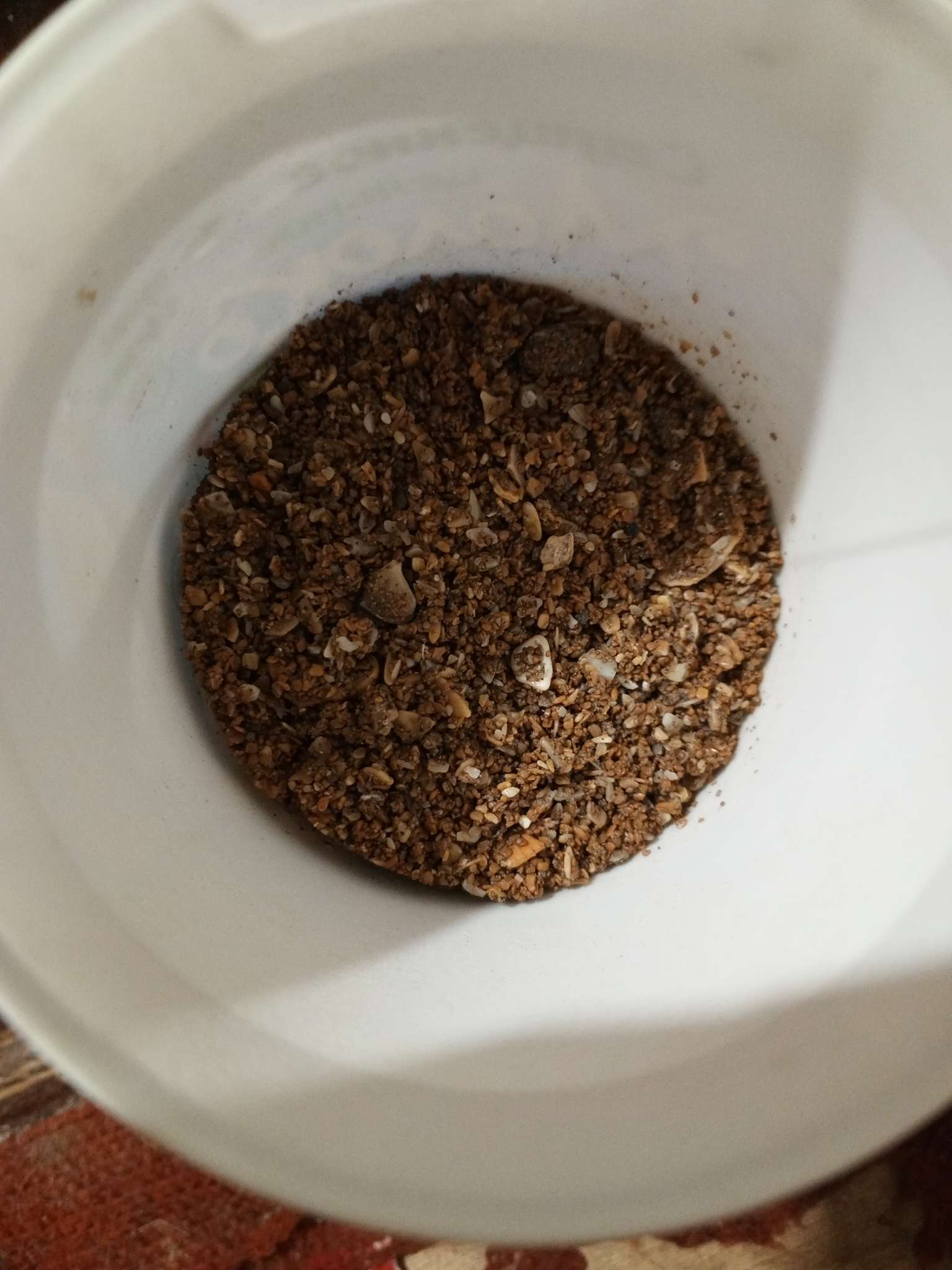 Фотография покупателя товара Ракушка «Ваше хозяйство» 1 кг - Фото 4