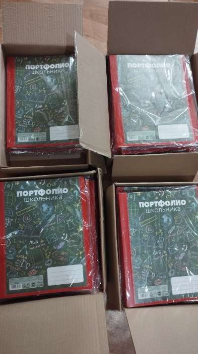 Фотография покупателя товара Папка-портфолио А4, Calligrata «Веселая школа», пластиковая, на 4 кольцах, для школьника, 20 файлов - Фото 1