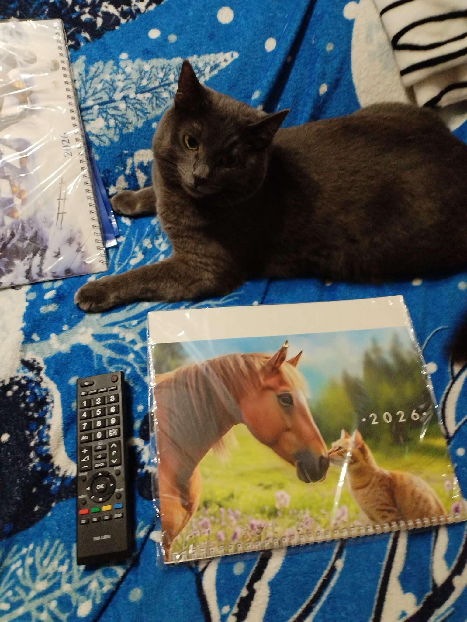 Фотография покупателя товара Календарь настенный квартальный 2026 «Счастливого года», 30×46 см - Фото 1