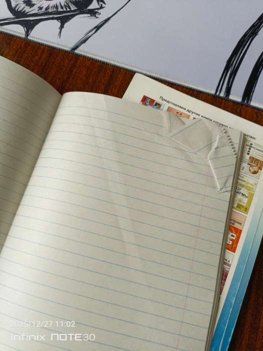 Фотография покупателя товара Тетрадь 48 листов в линейку, Calligrata «Красоты природы», МИКС - Фото 9