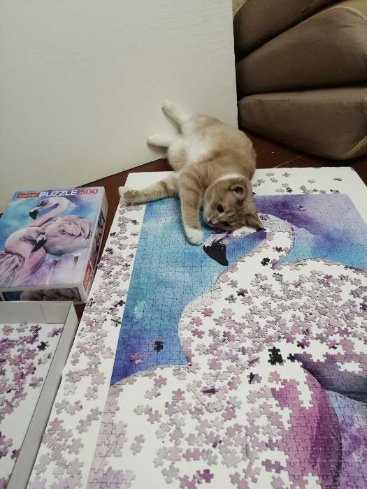 Фотография покупателя товара Пазл «Фламинго», 1500 элементов - Фото 1