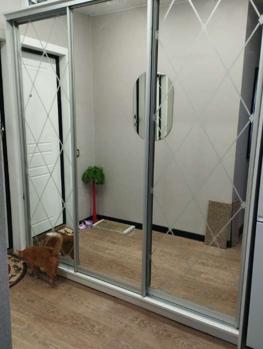 Фотография покупателя товара Шкаф - купе «Хит-22-20-656», с зеркалом, 2000×620×2200 мм, цвет белый шагрень - Фото 1