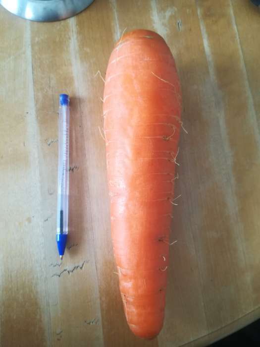 Фотография покупателя товара Семена Морковь "Лагуна" F1, лента 6 м - Фото 1