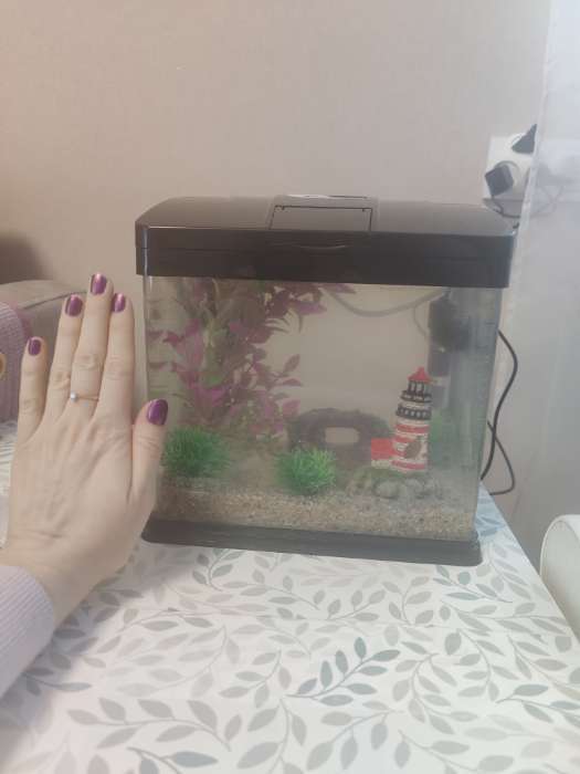 Фотография покупателя товара Аквариум SeaStar HX-240F в комплекте: LED-лампа, фильтр, 10 л, белый - Фото 1